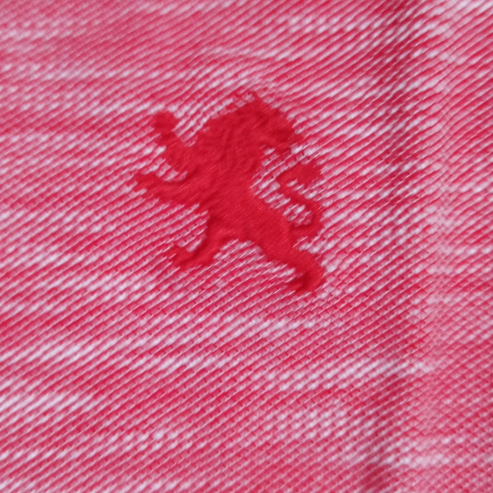 Express Mens polo shirt